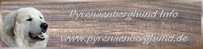 Pyrenäenberghund Info02