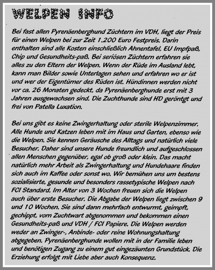 Welpen - info_edited