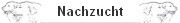 Nachzucht