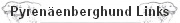 Pyrenenberghund Links