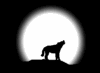 wolf-0002 wolf-0002